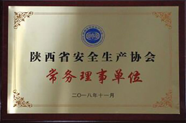 陝西省安全生產協會常務理事單位