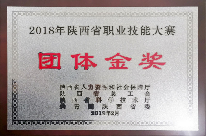 2018年陝西省職業技能大賽團體金獎